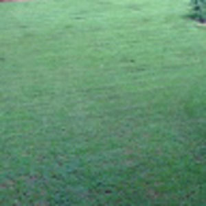 Meet your Posher, Ethan